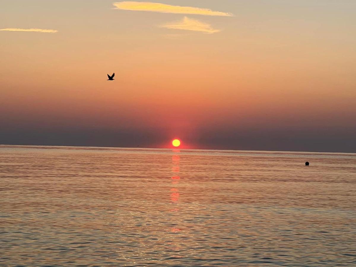Complex Relax Pomorie All Inclusive Buitenkant foto